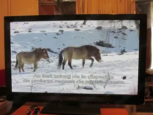 Plasme Panasonic Full HD - P42G30. P42GT30 - imagine 2