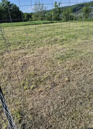 Vând teren intravilan  - imagine 9