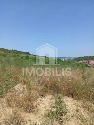 Teren de vanzare | 8800 mp | Viile Dealul Mic - imagine 3
