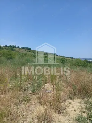 Teren de vanzare | 8800 mp | Viile Dealul Mic - imagine 2