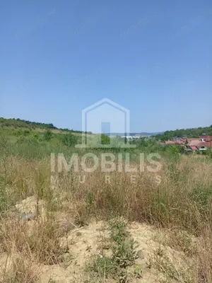 Teren de vanzare | 8800 mp | Viile Dealul Mic