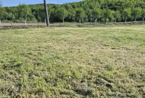 Vând teren intravilan  - imagine 4