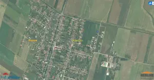 Loc de casa 540mp in Zimand-Cuz langa Arad la 10 min. de Podgoria