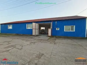 Inchiriez Hala in Sanicolau Mic - 400mp