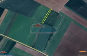 Teren extravilan in Gradiste 3500 mp - imagine 4 Teren extravilan in Gradiste 3500 mp - imagine 4