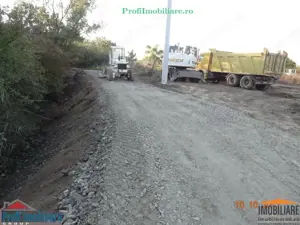 Proiect imobiliar cu PUZ la intrare pe nou Pod peste Mures in Aradul Nou - imagine 11