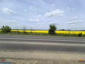 Teren 7 HA cu FS de 143 ml la DJ682 langa zona industriala Zadareni - imagine 4