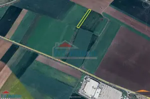 Teren extravilan in Gradiste 3500 mp