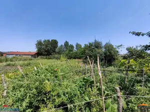 Casa cu 2 camere si anexe in Simand cu teren de 1465 mp - imagine 11