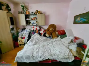 Casa cu 2 camere si anexe in Simand cu teren de 1465 mp - imagine 5