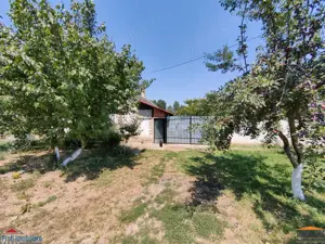 Casa cu 2 camere si anexe in Simand cu teren de 1465 mp - imagine 12