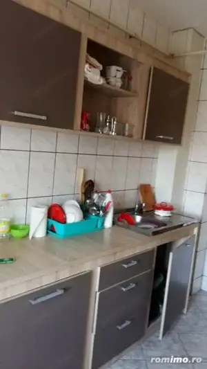 1 camera Zona Banatului 