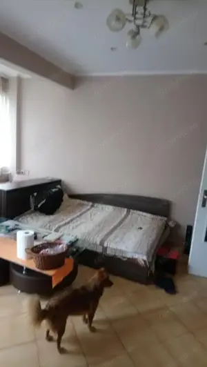 2 camere in zona Centrala