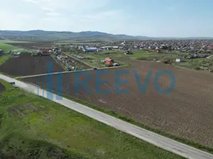 Teren de vânzare, Com. Nicolae Bălcescu, Jud. Bacău - imagine 7