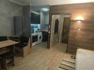 garsoniera in zona Sagului - imagine 2