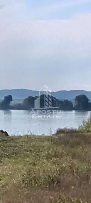 Teren la Dunare 2400Mp cu utilitati - imagine 5