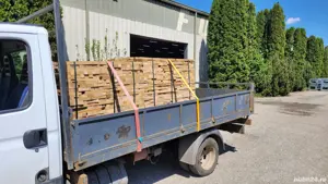 Transport marfa basculabil - imagine 4