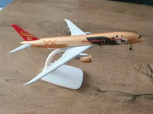 Macheta metalica de avion (marime medium) Hainan Airlines | Decoratie
