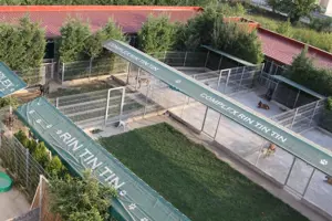 Oferta zilei! Spatiu comercial versatil Voluntari - imagine 8