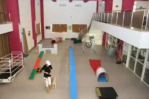 Oferta zilei! Spatiu comercial versatil Voluntari - imagine 7