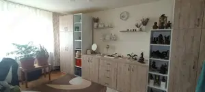 Apartament de vanzare 2 camere,tip PB,et. 2,Nufarul