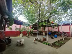 Casa 4 cam 120m utili teren 1000 mp Mobilata Chiscani - imagine 4