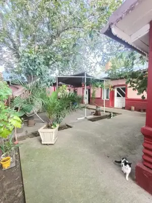 Casa 4 cam 120m utili teren 1000 mp Mobilata Chiscani - imagine 3