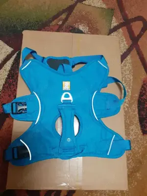 hamuri caine talie medie si mare - imagine 2 hamuri caine talie medie si mare - imagine 2