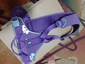 hamuri caine talie medie si mare - imagine 3 hamuri caine talie medie si mare - imagine 3