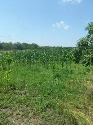 Vând teren intravilan  - imagine 7