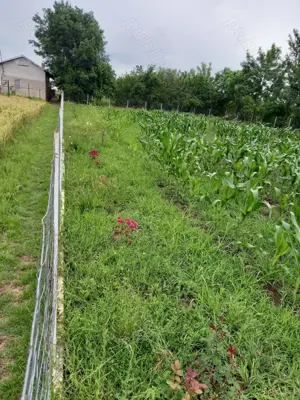 Vând teren intravilan  - imagine 5