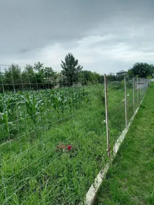 Vând teren intravilan  - imagine 6