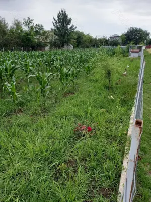 Vând teren intravilan  - imagine 8