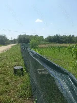 Vând teren intravilan  - imagine 4