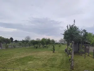 Teren intravilan - livada pomi fructiferi  - imagine 2