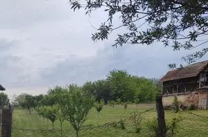 Teren intravilan - livada pomi fructiferi  - imagine 4