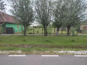 Teren intravilan - livada pomi fructiferi  - imagine 6