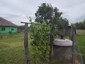 Teren intravilan - livada pomi fructiferi