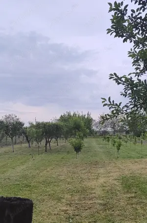 Teren intravilan - livada pomi fructiferi  - imagine 5