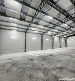 hala deosebita de vanzare in Giarmata  - imagine 6