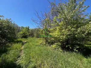 Teren intravilan/934 mp/Lenin Sud - imagine 3