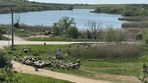 teren intravilan curti constructii 2500mp, langa balta de pescuit sportiv