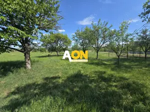 Casa Individuala, 4 Camere 1500mp Teren, Partos - imagine 16