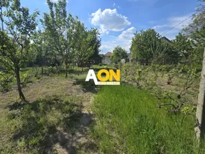 Casa Individuala, 4 Camere 1500mp Teren, Partos - imagine 17