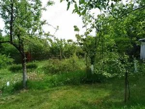 Faget  1161 mp - imagine 3