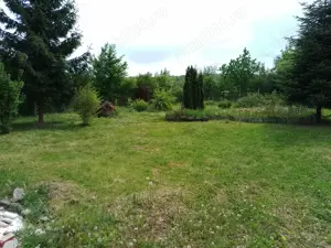 Faget  1161 mp - imagine 5