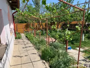 Casa de vanzare - Filipesti, jud. Braila - imagine 3