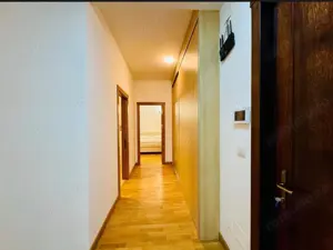 Ap pe malul Begai zona centrala  - imagine 9