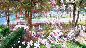 Casa individuala, 130mp utili, 434 teren, garaj, Zorilor! - imagine 6