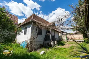 FILM! 728mp intravilan+constructie 55mp, fantana,metropolitan Sfantu Gheorghe - imagine 8